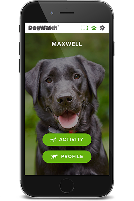 DogWatch of Southeastern CT, Old Lyme, Connecticut | SmartFence WebApp Image