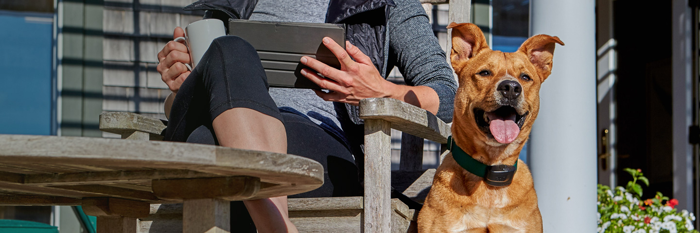 DogWatch of Southeastern CT, Old Lyme, Connecticut | ProFence Slider Image